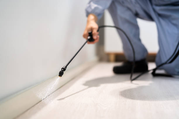 Rodent Entry Point Assessment in Victoria