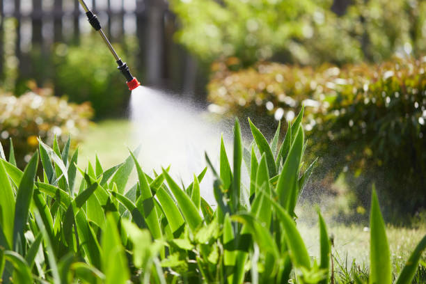 Tamper-Resistant Bait Stations for Rodents in Victoria