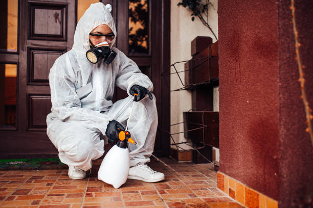 Attic and Crawl Space Rodent Treatment in Victoria